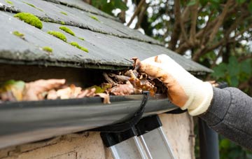 gutter cleaning Rottal, Angus